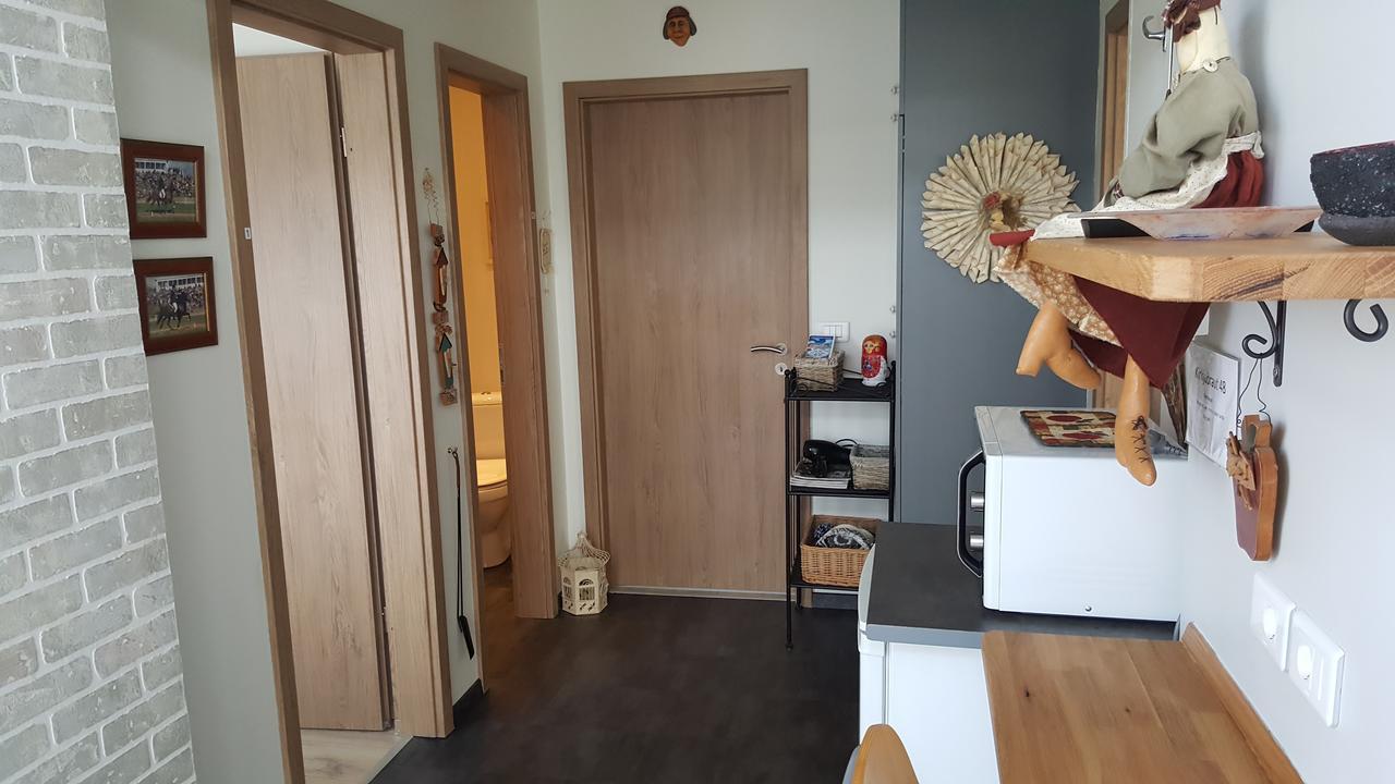 Hvita Husith, Kirkjubraut 48 Daire Höfn Dış mekan fotoğraf